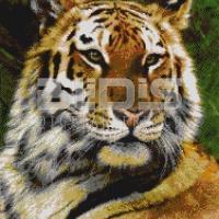 Glass Tile Mural: Tiger